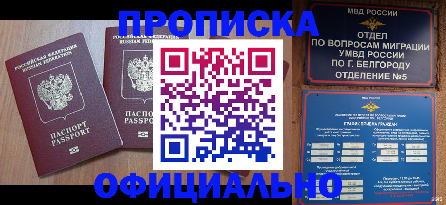 найти адрес прописки в Богородске
